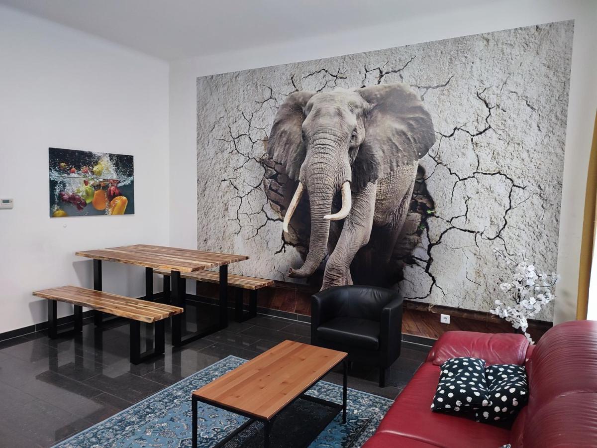 Apartament Near Schoenbrunn Palace *